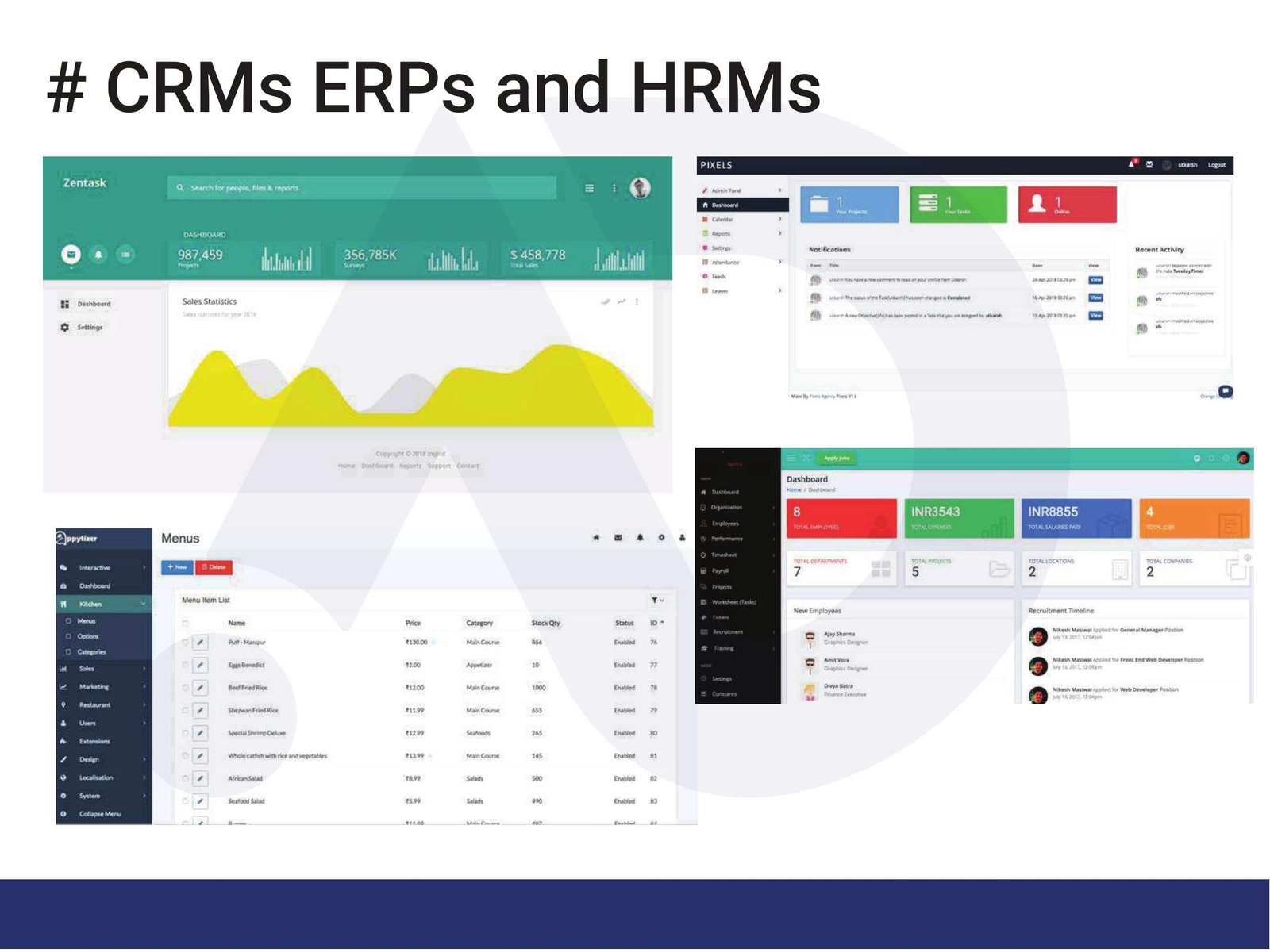 CRM, ERP & HRM Systems — work sample 1